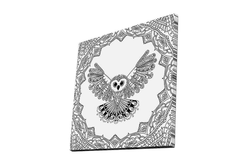 Canvastavla 45x45 cm - Uggla med utsträckta vingar i detaljrik ram, Svart / Vitt