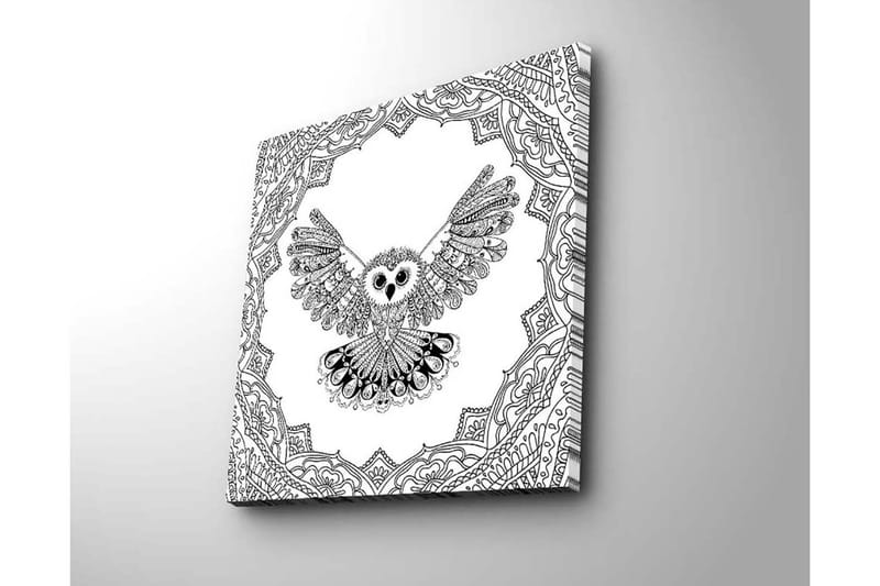 Canvastavla 45x45 cm - Uggla med utsträckta vingar i detaljrik ram - Svart / Vitt - Inredning & dekor - Tavlor & konst - Canvastavla