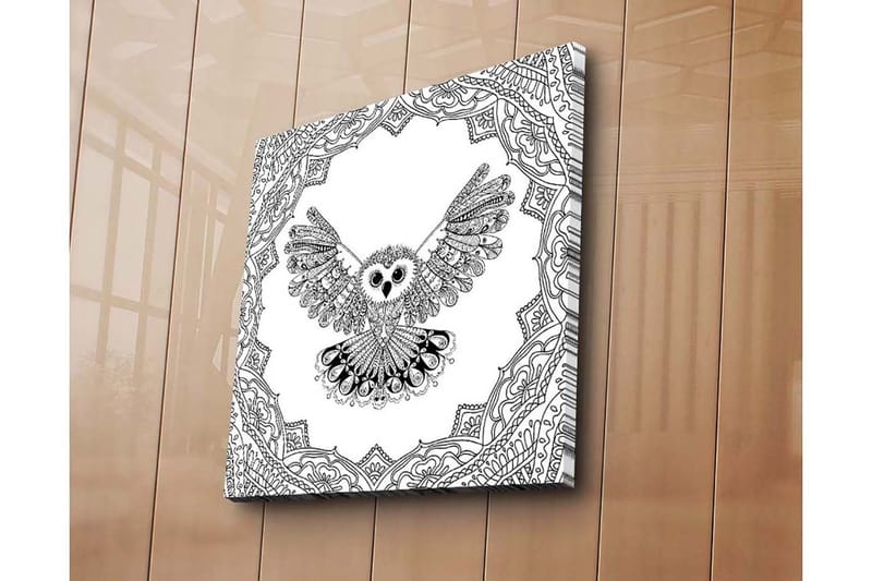 Canvastavla 45x45 cm - Uggla med utsträckta vingar i detaljrik ram - Svart / Vitt - Inredning & dekor - Tavlor & konst - Canvastavla