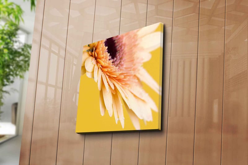 Canvastavla 45x45 cm - Vacker blomma med ljusa kronblad och droppar av vatten - Ljusrosa / Gul / Lila - Inredning & dekor - Tavlor & konst - Canvastavla