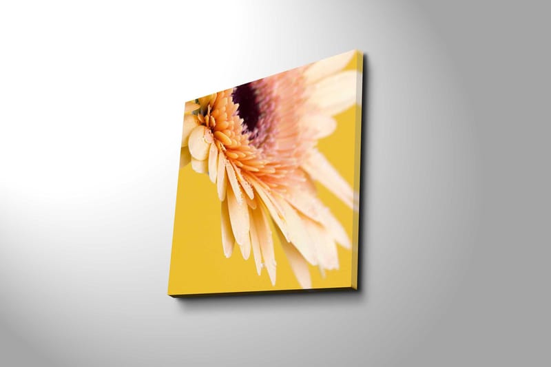 Canvastavla 45x45 cm - Vacker blomma med ljusa kronblad och droppar av vatten - Ljusrosa / Gul / Lila - Inredning & dekor - Tavlor & konst - Canvastavla