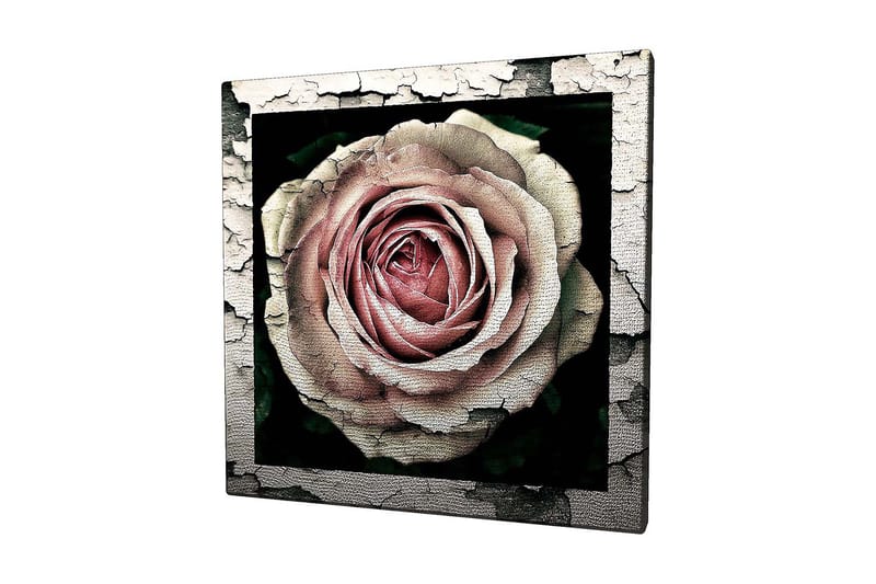 Canvastavla 45x45 cm - Vacker ros med detaljerad textur och färgnyanser - Rosa / Grå / Svart - Inredning & dekor - Tavlor & konst - Canvastavla
