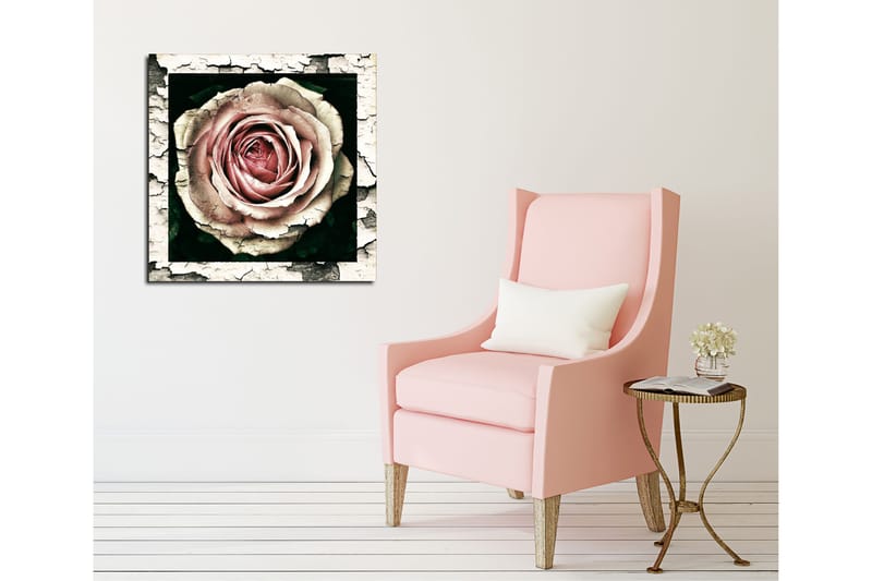Canvastavla 45x45 cm - Vacker ros med detaljerad textur och färgnyanser - Rosa / Grå / Svart - Inredning & dekor - Tavlor & konst - Canvastavla