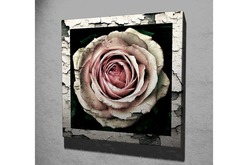 Canvastavla 45x45 cm - Vacker ros med detaljerad textur och färgnyanser - Rosa / Grå / Svart - Inredning & dekor - Tavlor & konst - Canvastavla