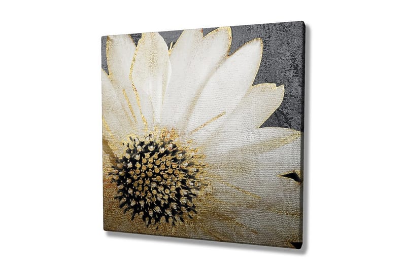 Canvastavla 45x45 cm - Vit blomma med svart mittpunkt och guldiga detaljer - Vit / Svart / Guld - Inredning & dekor - Tavlor & konst - Canvastavla