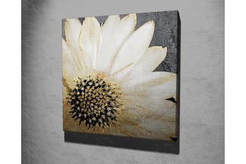 Canvastavla 45x45 cm - Vit blomma med svart mittpunkt och guldiga detaljer - Vit / Svart / Guld - Inredning & dekor - Tavlor & konst - Canvastavla
