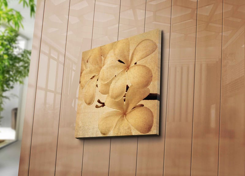 Canvastavla 45x45 cm - Vit orkidé med mjuka blomblad - Vit / Beige / Brun - Inredning & dekor - Tavlor & konst - Canvastavla