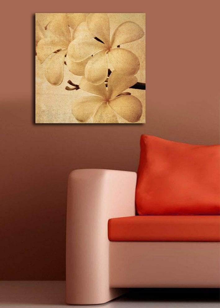 Canvastavla 45x45 cm - Vit orkidé med mjuka blomblad - Vit / Beige / Brun - Inredning & dekor - Tavlor & konst - Canvastavla