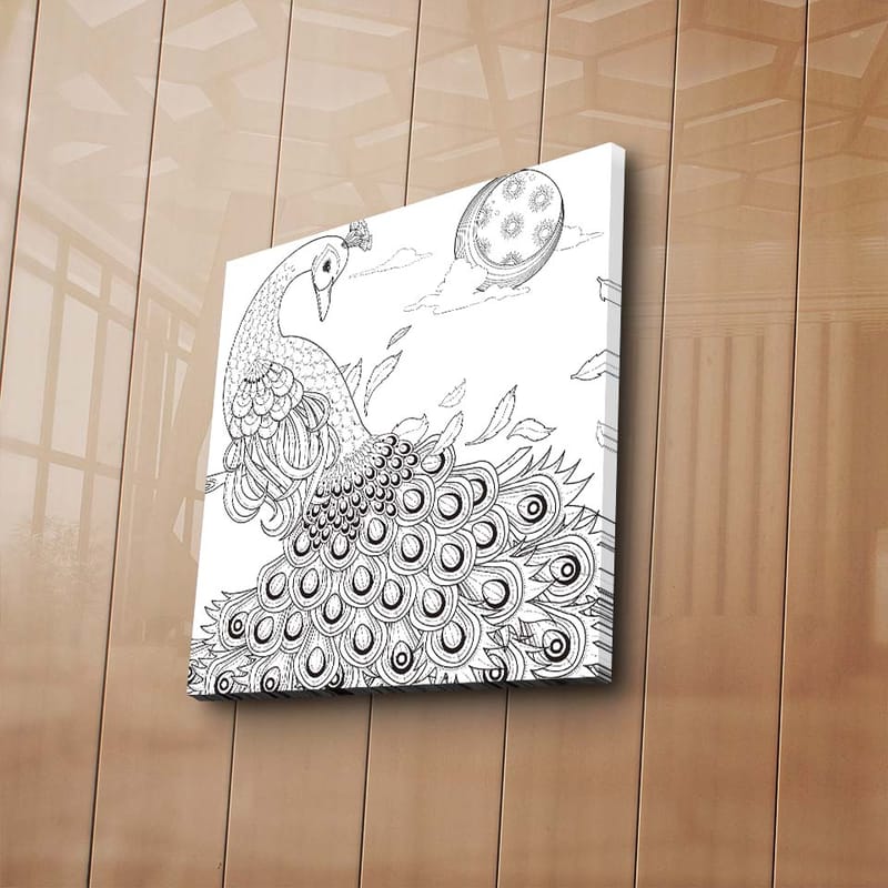 Canvastavla 45x45 cm - Påfågel med detaljerad fjäderdräkt - Svart / Vitt - Inredning & dekor - Tavlor & konst - Canvastavla