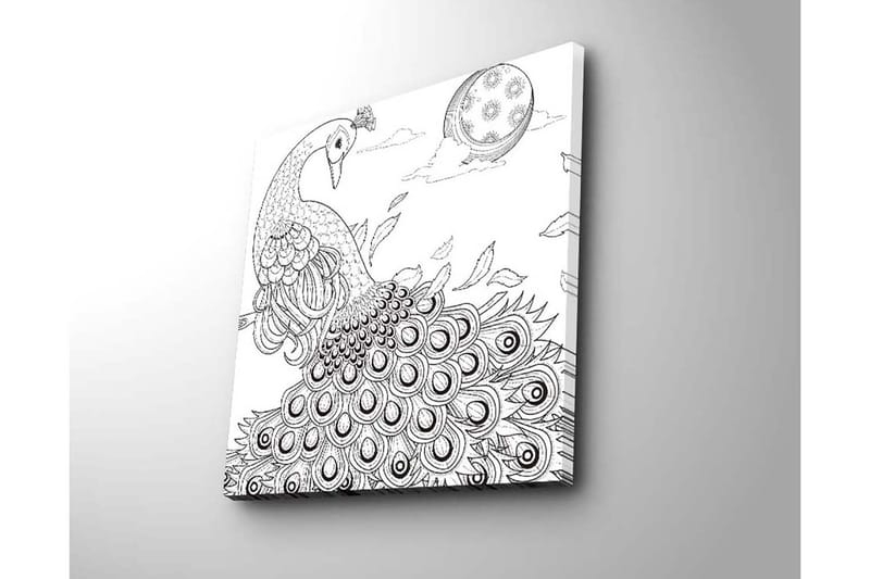 Canvastavla 45x45 cm - Påfågel med utspridda fjädrar i en detaljrik komposition - Svart / Vitt - Inredning & dekor - Tavlor & konst - Canvastavla