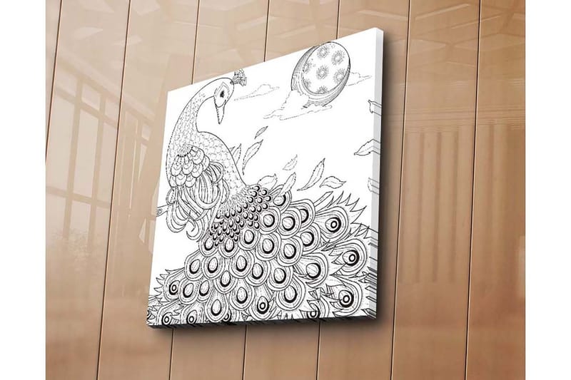 Canvastavla 45x45 cm - Påfågel med utspridda fjädrar i en detaljrik komposition - Svart / Vitt - Inredning & dekor - Tavlor & konst - Canvastavla