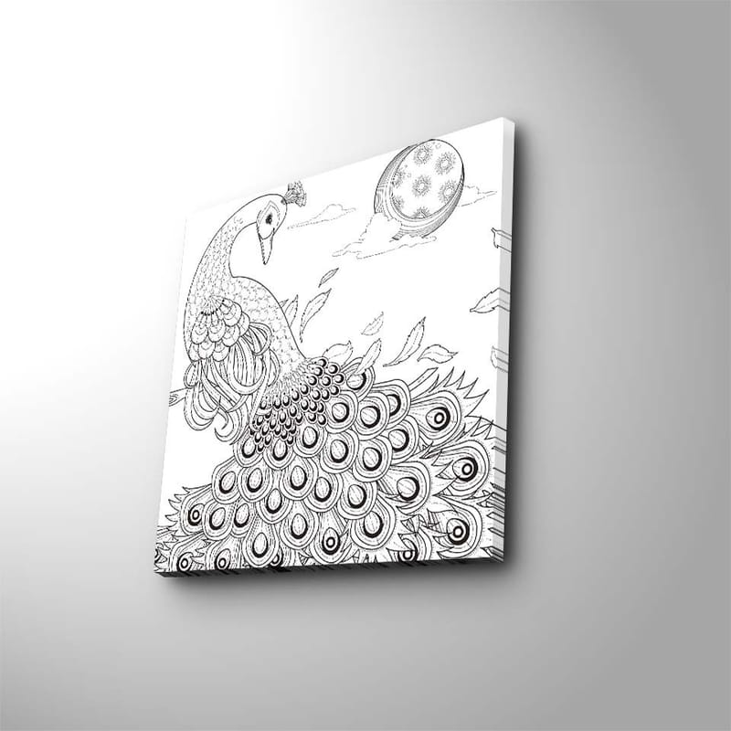 Canvastavla 45x45 cm - Påfågel med detaljerad fjäderdräkt - Svart / Vitt - Inredning & dekor - Tavlor & konst - Canvastavla