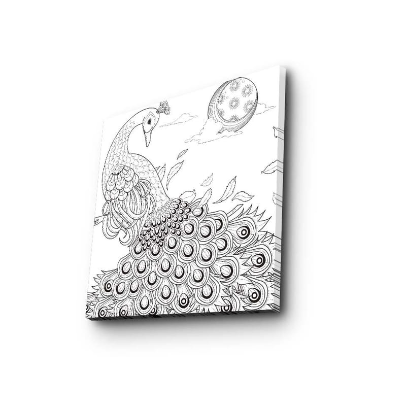 Canvastavla 45x45 cm - Påfågel med detaljerad fjäderdräkt - Svart / Vitt - Inredning & dekor - Tavlor & konst - Canvastavla