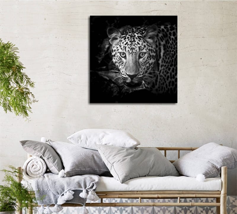 Canvastavla 45x45 cm - Porträtt av en leopard med intensiva ögon - Svart / Vit / Grå - Inredning & dekor - Tavlor & konst - Canvastavla