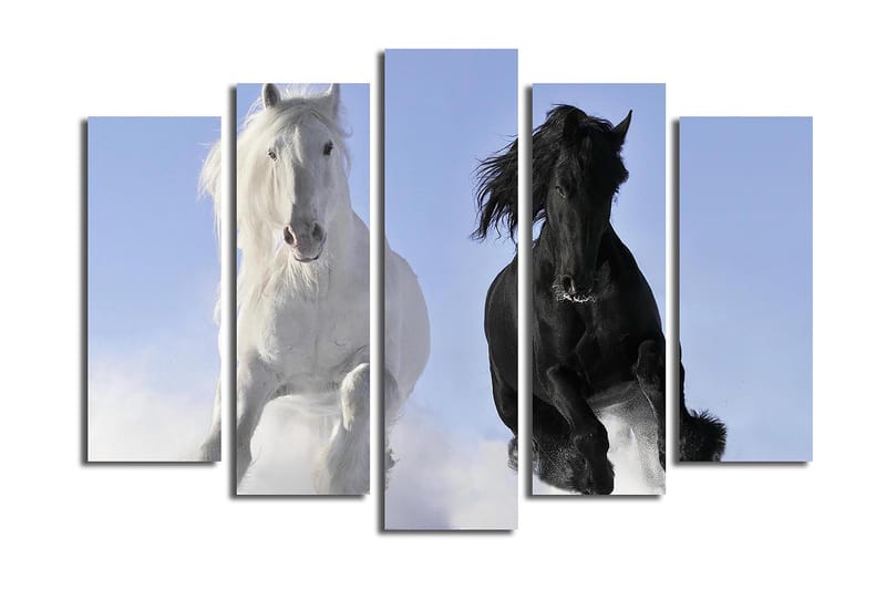 CANVASTAVLA 5-pack Flerfärgad 19x60 cm - Inredning & dekor - Tavlor & konst - Canvastavla