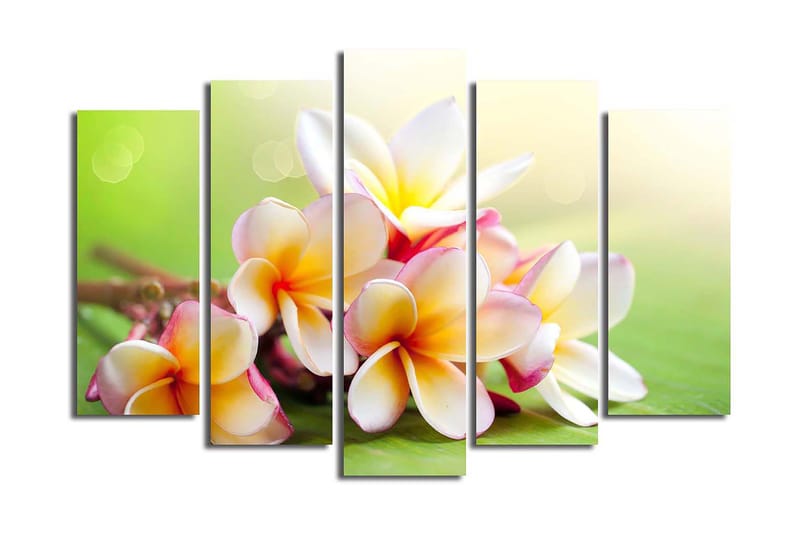 CANVASTAVLA 5-pack Flerfärgad 19x60 cm - Inredning & dekor - Tavlor & konst - Canvastavla