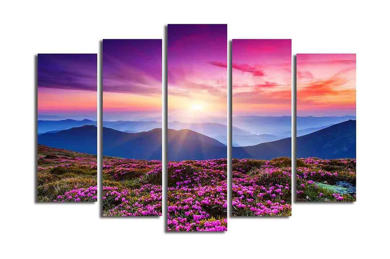 CANVASTAVLA 5-pack Flerfärgad 19x60 cm - Canvastavla