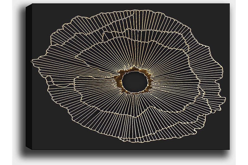 Canvastavla 70x100 cm - Abstrakt blomma med guldlinjer på svart bakgrund - Guld / Svart - Inredning & dekor - Tavlor & konst - Canvastavla