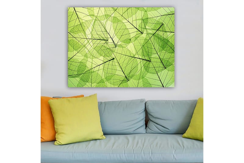 Canvastavla 70x100 cm - Abstrakt komposition av genomskinliga löv i olika nyanser av grönt - Ljusgrön / Mörkgrön / Svart - Inredning & dekor - Tavlor & konst - Canvastavla