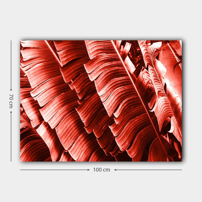 Canvastavla 70x100 cm - Abstrakt komposition av växtblad i djupa röda nyanser - Röd / Mörkröd - Inredning & dekor - Tavlor & konst - Canvastavla