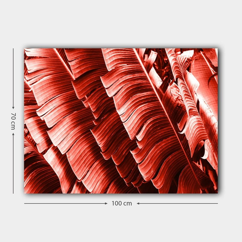 Canvastavla 70x100 cm - Abstrakt komposition av växtblad i djupa röda nyanser - Röd / Mörkröd - Inredning & dekor - Tavlor & konst - Canvastavla