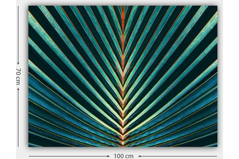 Canvastavla 70x100 cm - Abstrakt komposition av palmblad med tydliga linjer och symmetri - Mörkgrön / Turkos / Orange - Inredning & dekor - Tavlor & konst - Canvastavla