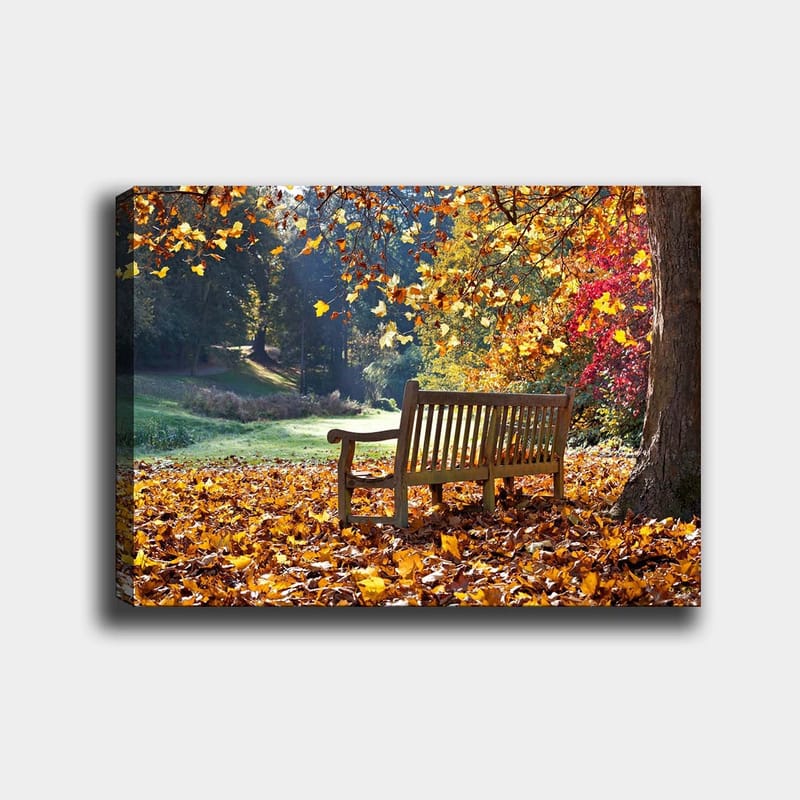 Canvastavla 70x100 cm - Bänk omgiven av färgglada höstlöv i en naturskön miljö - Orange / Gul / Röd - Inredning & dekor - Tavlor & konst - Canvastavla