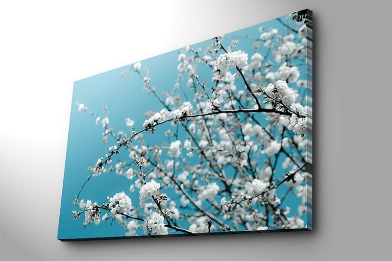 Canvastavla 70x100 cm - Blommande grenar mot en klar, blå bakgrund - Vit / Ljusblå - Inredning & dekor - Tavlor & konst - Canvastavla