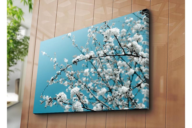 Canvastavla 70x100 cm - Blommande grenar mot en klar, blå bakgrund - Vit / Ljusblå - Inredning & dekor - Tavlor & konst - Canvastavla