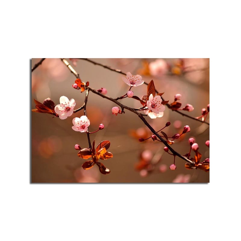 Canvastavla 70x100 cm - Blommande körsbärsgrenar med rosa blommor och bruna blad - Rosa / Brun - Inredning & dekor - Tavlor & konst - Canvastavla