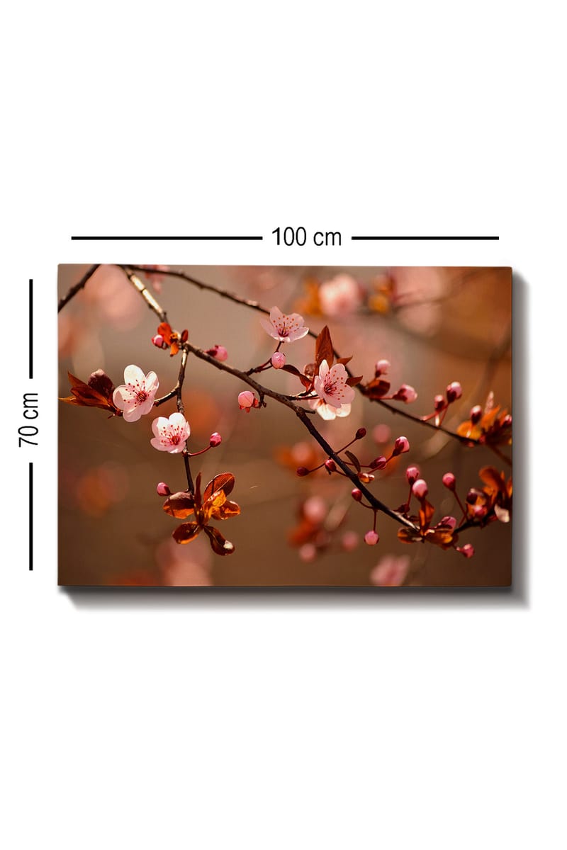 Canvastavla 70x100 cm - Blommande körsbärsgrenar med rosa blommor och knoppar - Rosa / Brun / Mörkröd - Inredning & dekor - Tavlor & konst - Canvastavla