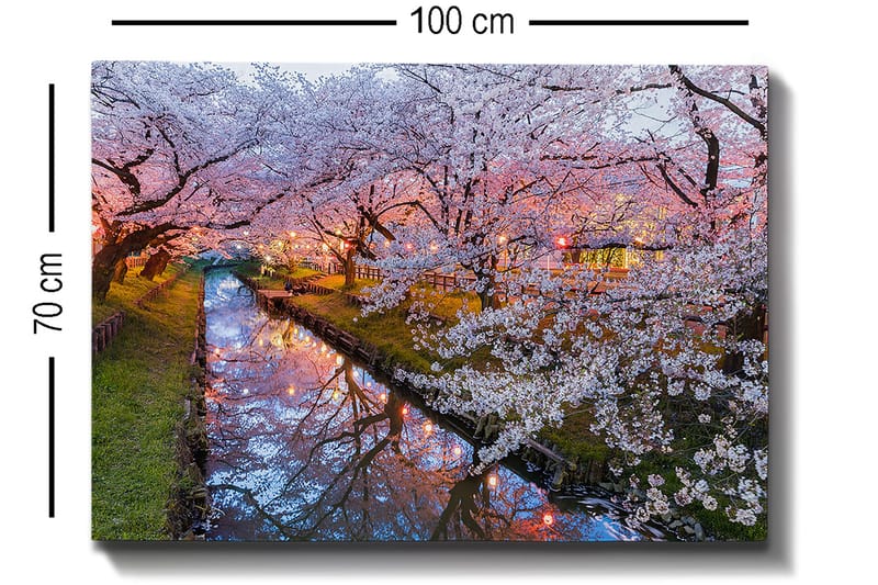 Canvastavla 70x100 cm - Blommande körsbärsträd vid en stilla kanal i skymningen - Rosa / Vitt / Grönt - Inredning & dekor - Tavlor & konst - Canvastavla