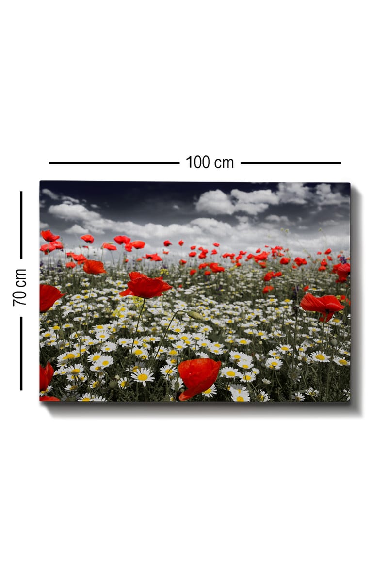 Canvastavla 70x100 cm - Blomsteräng med röda vallmo och vita prästkragar som skapar en kontrasterande och livfull komposition - Röd / Vit - Inredning & dekor - Tavlor & konst - Canvastavla
