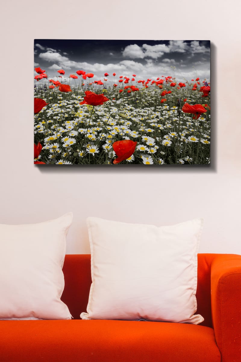 Canvastavla 70x100 cm - Blomsteräng med röda vallmo och vita prästkragar som skapar en kontrasterande och livfull komposition - Röd / Vit - Inredning & dekor - Tavlor & konst - Canvastavla