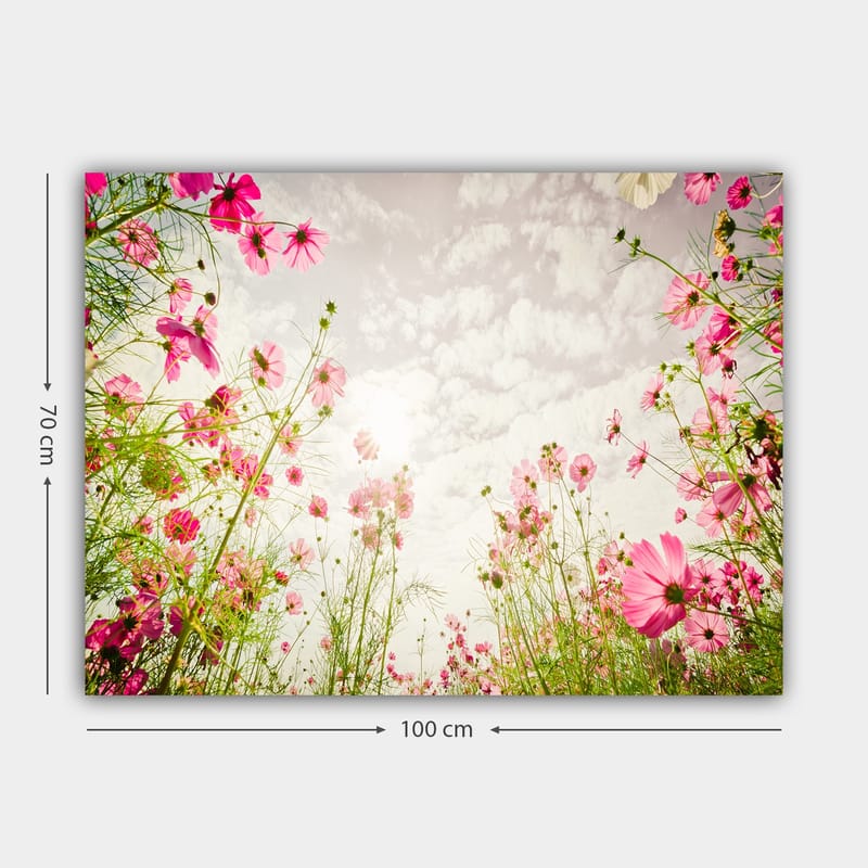 Canvastavla 70x100 cm - Blomstrande äng med rosa blommor som sträcker sig mot en ljus himmel - Rosa / Grön - Inredning & dekor - Tavlor & konst - Canvastavla