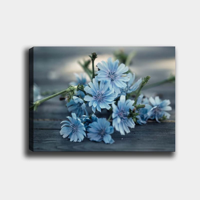 Canvastavla 70x100 cm - Bukett av ljusblå blommor som ligger på en mörk yta - Ljusblå / Grön - Inredning & dekor - Tavlor & konst - Canvastavla