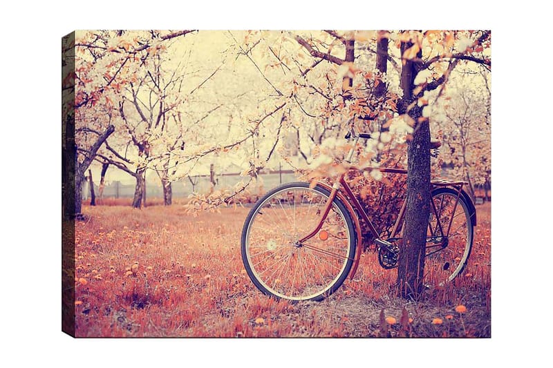 Canvastavla 70x100 cm - Cykel lutad mot ett träd i en blomstrande fruktträdgård under våren - Orange / Brun / Grå - Inredning & dekor - Tavlor & konst - Canvastavla