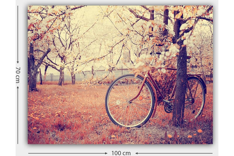 Canvastavla 70x100 cm - Cykel lutad mot ett träd i en blomstrande fruktträdgård under våren - Orange / Brun / Grå - Inredning & dekor - Tavlor & konst - Canvastavla