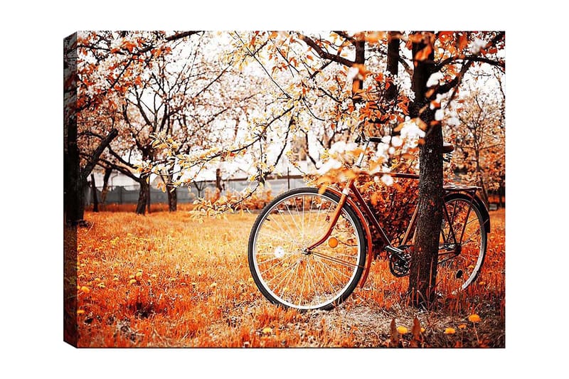 Canvastavla 70x100 cm - Cykel lutad mot ett träd i en höstig landskap med orangea och gula löv, Orange / Gul / Brun