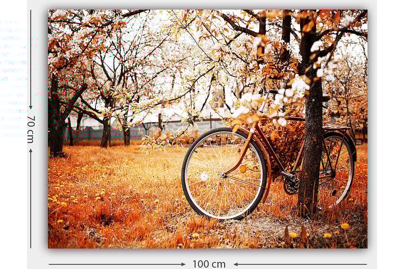 Canvastavla 70x100 cm - Cykel lutad mot ett träd i en höstig landskap med orangea och gula löv - Orange / Gul / Brun - Inredning & dekor - Tavlor & konst - Canvastavla