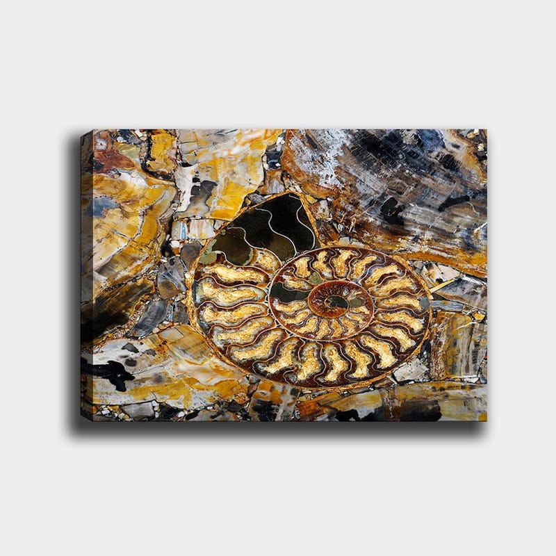 Canvastavla 70x100 cm - Detaljerad avbildning av en snäcka med en spiralformad struktur, Guld / Brunt / Svart