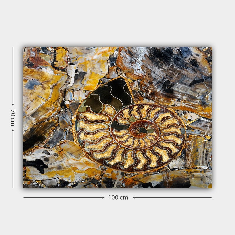 Canvastavla 70x100 cm - Detaljerad avbildning av en snäcka med en spiralformad struktur - Guld / Brunt / Svart - Inredning & dekor - Tavlor & konst - Canvastavla