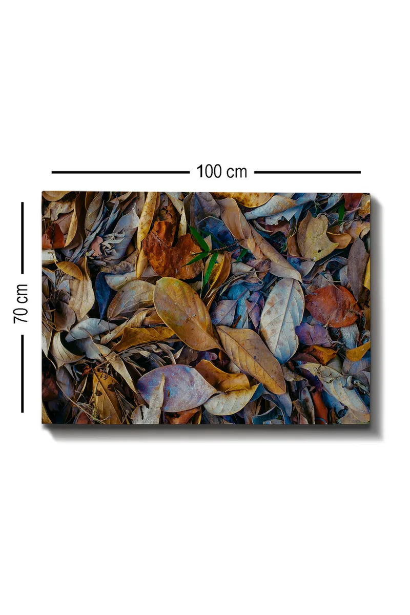 Canvastavla 70x100 cm - Detaljrik samling av torkade löv i olika nyanser som skapar en naturlig textur - Brun / Beige / Grön - Inredning & dekor - Tavlor & konst - Canvastavla