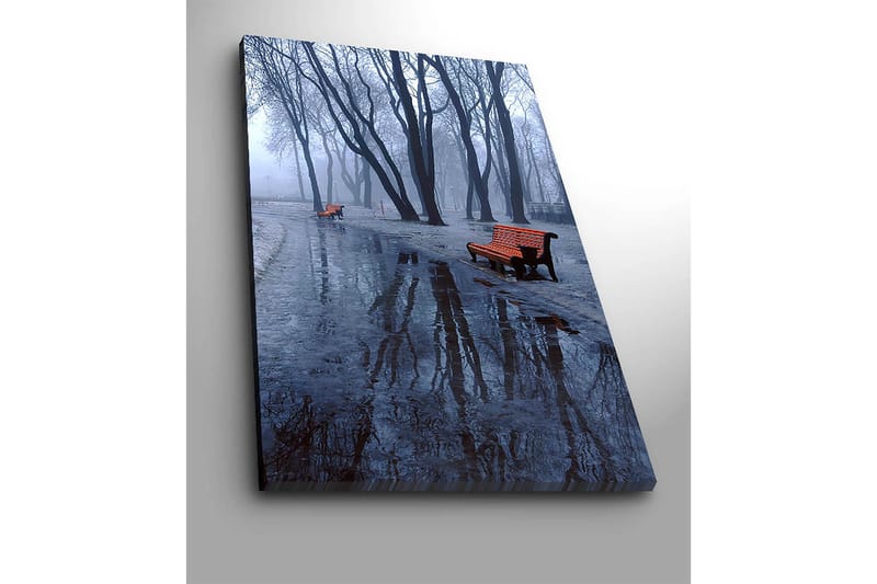 Canvastavla 70x100 cm - Dimmig park med två orange bänkar omgivna av kalla, nakna träd - Orange / Blå / Grå - Inredning & dekor - Tavlor & konst - Canvastavla
