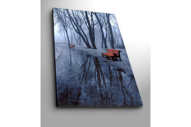Canvastavla 70x100 cm - Dimmig park med två orange bänkar omgivna av kalla, nakna träd - Orange / Blå / Grå - Inredning & dekor - Tavlor & konst - Canvastavla