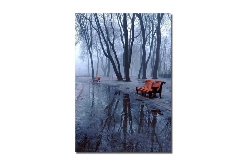 Canvastavla 70x100 cm - Dimmig park med två orange bänkar omgivna av kalla, nakna träd, Orange / Blå / Grå