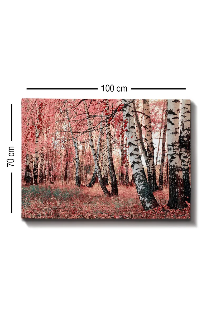 Canvastavla 70x100 cm - Drömlik skog med björkar omgivna av rosa och röda löv - Rosa / Vit / Svart - Inredning & dekor - Tavlor & konst - Canvastavla