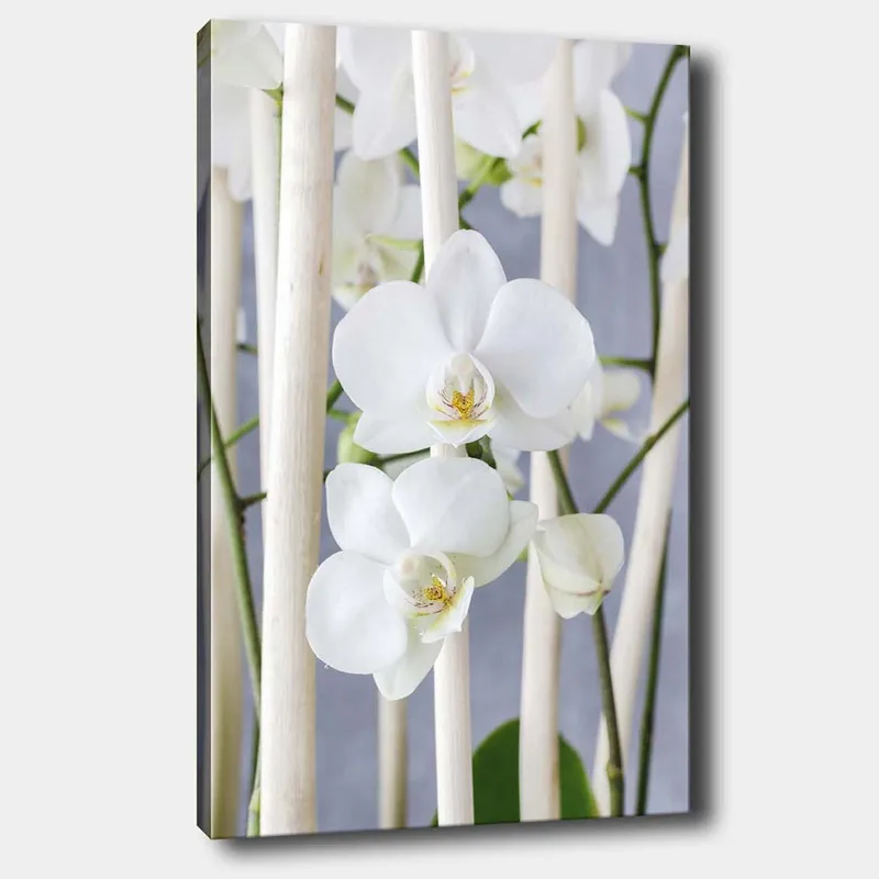 Canvastavla 70x100 cm - Elegant komposition av vita orkidéer som växer mellan ljusa stammar, Vit / Grön