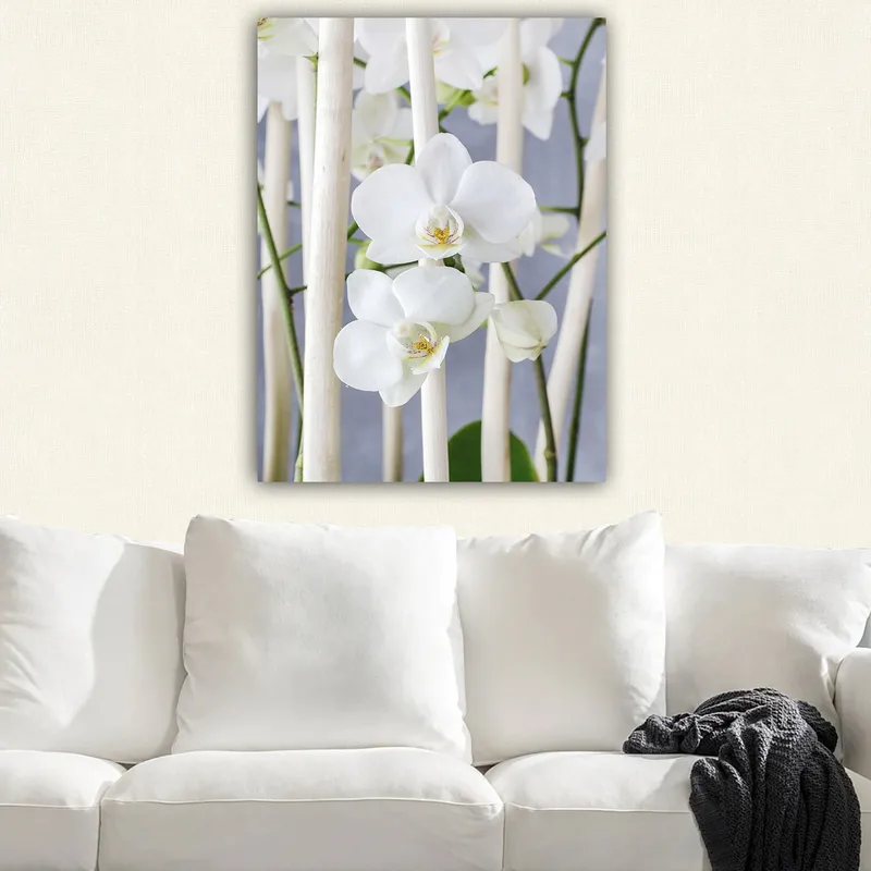 Canvastavla 70x100 cm - Elegant komposition av vita orkidéer som växer mellan ljusa stammar - Vit / Grön - Inredning & dekor - Tavlor & konst - Canvastavla