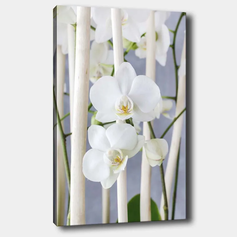 Canvastavla 70x100 cm - Elegant komposition av vita orkidéer som växer mellan ljusa stammar, Vit / Grön